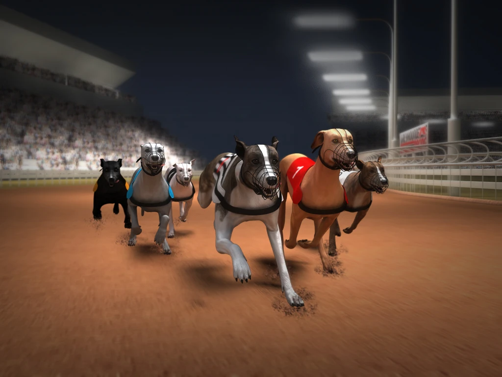Greyhound Racing thumbnail